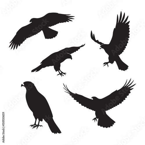 Silhouette set of hawk on white background