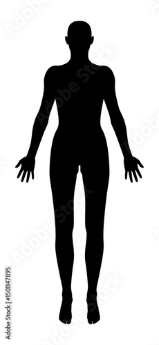 Human Silhouette: A stark silhouette of a human figure, standing confidently. Captures the essence of the human form with a focus on shape and form, perfect for themes of identity and the body.