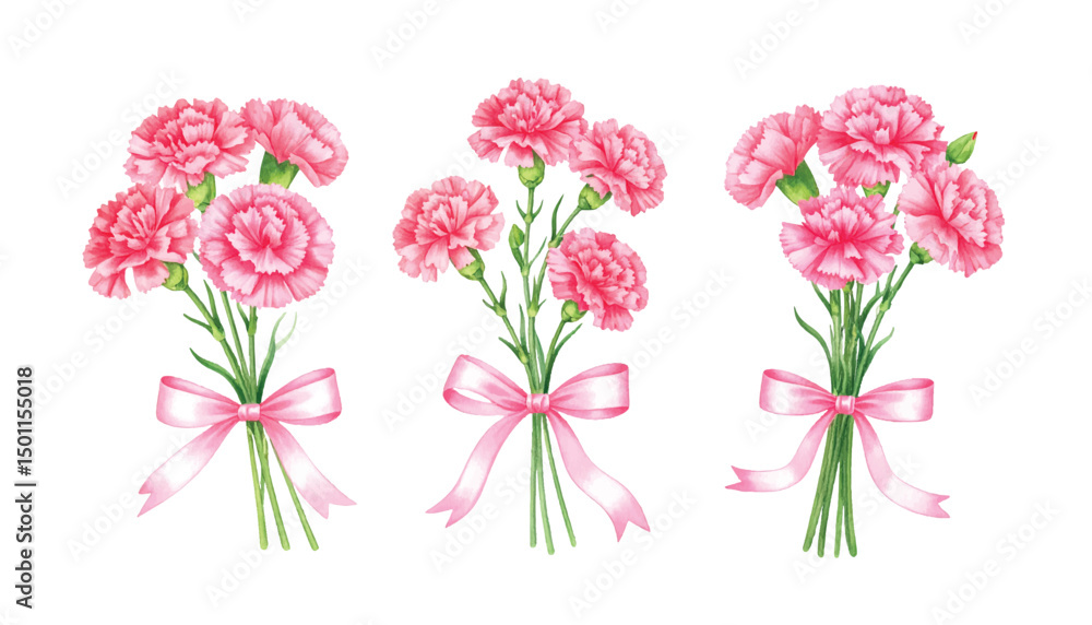 Obraz premium Watercolor set of a bouquet of pink carnations tied with a pink ribbon