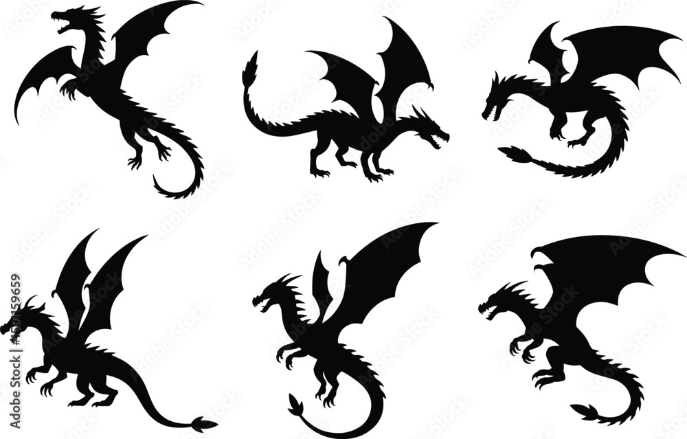 Fototapeta premium Dragon silhouette