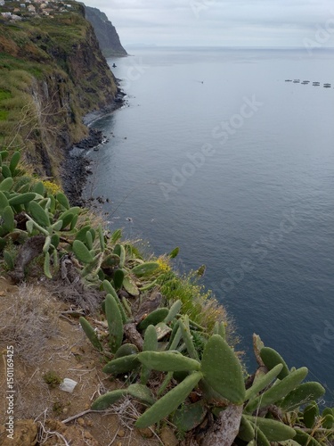 coast of the sea