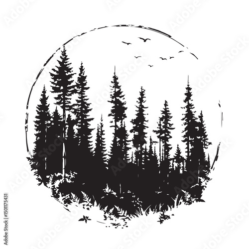 Pine Forest