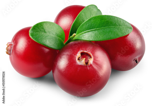 Cranberry isolated png. Cranberries with leaves on white or transparent background.. Cranberry berries with transparent shadow no background. Perfect retouched image. Full depth of field.