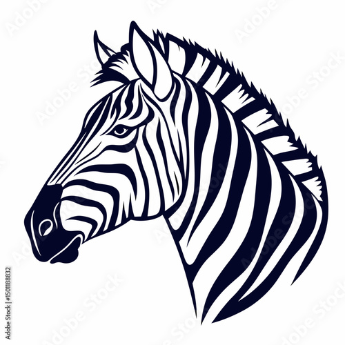 zebra vector illustration