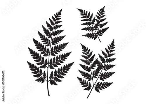 fern leaves logo vector silhouette illustration, fern leaf logo icon silhouette, bracken fern leaf silhouettes vector illustration, black silhouette of a fern leaf on white background.