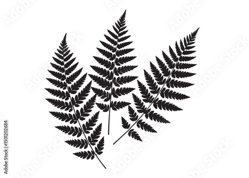 fern leaves logo vector silhouette illustration, fern leaf logo icon silhouette, bracken fern leaf silhouettes vector illustration, black silhouette of a fern leaf on white background.