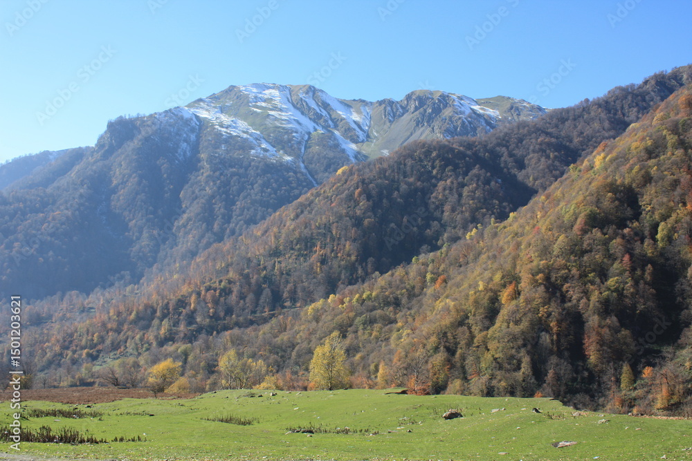 Naklejka premium mountain landscape with cows