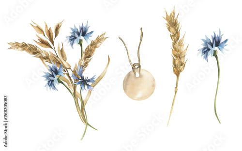 Bild auf Leinwand Field floral watercolor set with wheat and blue cornflowers bouquet,dry rye stem and vintage paper tag illustration