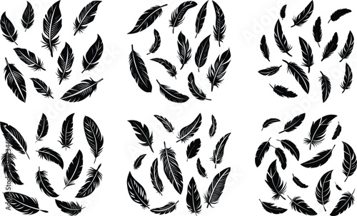Feathers Floating on White Background
