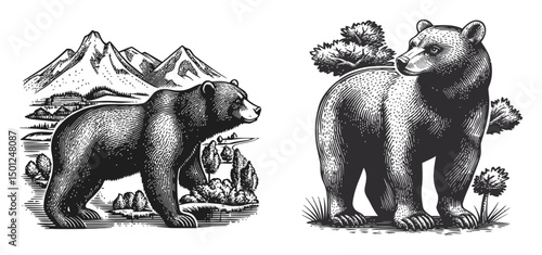 Black and White Bear Illustration with Mountain Landscape Background