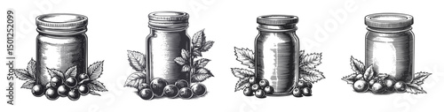Vintage Illustration of Glass Jars with Berries and Leaves in Black and White