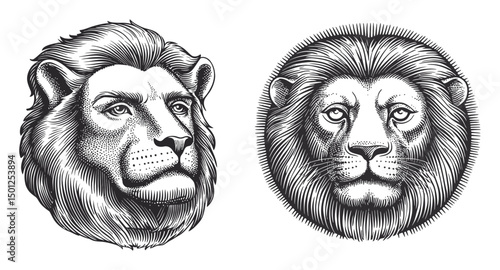 Detailed Black and White Vector Illustration of Lion Portraits