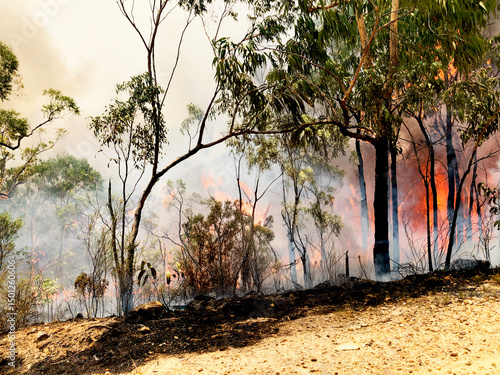 Climate change and the Australian black summer bushfires