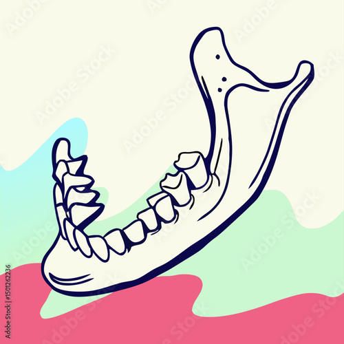 Line Art Illustration of Animal Jawbone with Teeth