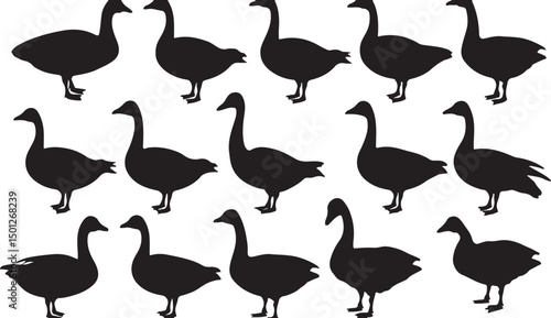 Silhouette of Geese Group in Black and White: Avian Illustration of Migrating Waterfowl - Nature-inspired Animal Pattern for Recreational Design and Farm Decor