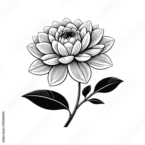 black and white flower