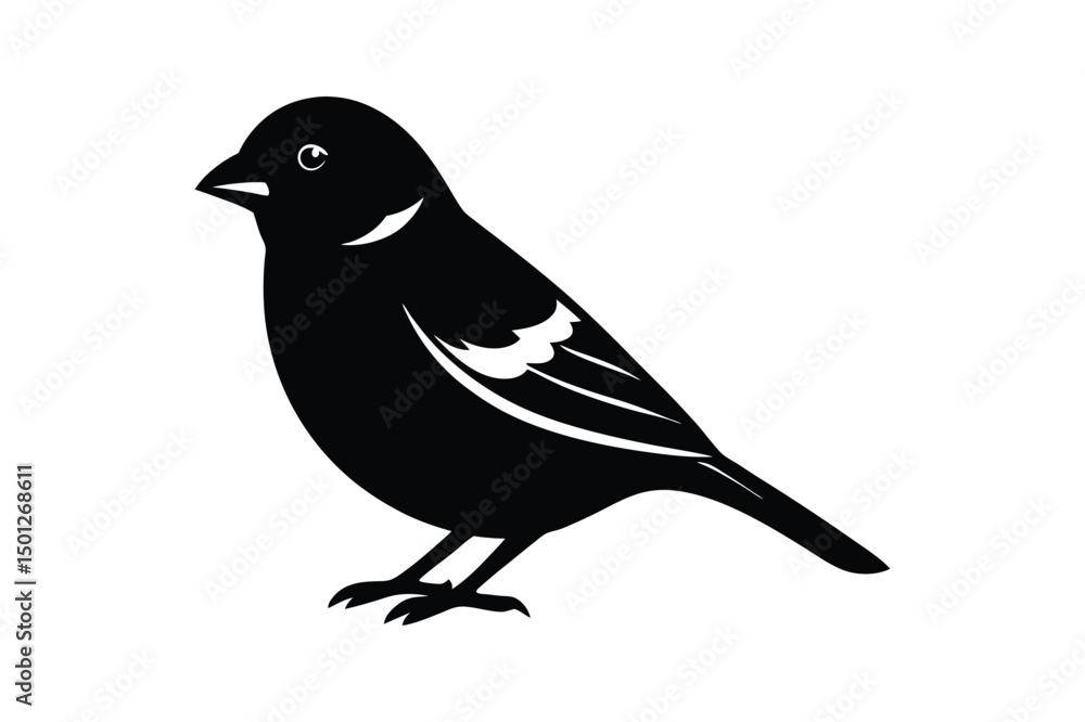 Fototapeta premium House sparrow silhouette vector bundle illustration, House Sparrow Silhouette Vector Bundle Black Bird Illustrations on White Background