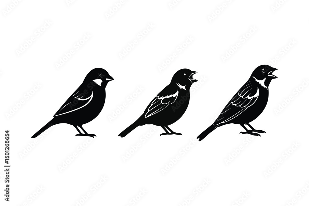 Fototapeta premium House sparrow silhouette vector bundle illustration, House Sparrow Silhouette Vector Bundle Black Bird Illustrations on White Background