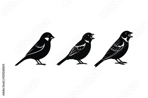 Wallpaper Mural House sparrow silhouette vector bundle  illustration, House Sparrow Silhouette Vector Bundle  Black Bird Illustrations on White Background

 Torontodigital.ca