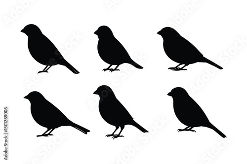 Wallpaper Mural House sparrow silhouette vector bundle  illustration, House Sparrow Silhouette Vector Bundle  Black Bird Illustrations on White Background

 Torontodigital.ca