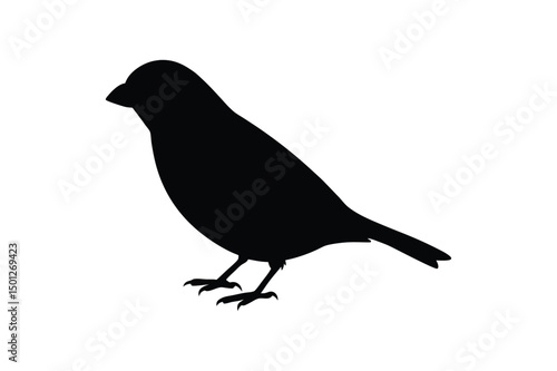 House sparrow silhouette vector bundle  illustration, House Sparrow Silhouette Vector Bundle  Black Bird Illustrations on White Background

