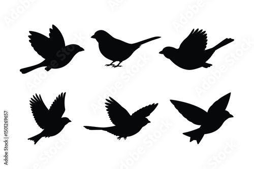 House sparrow silhouette vector bundle  illustration, House Sparrow Silhouette Vector Bundle  Black Bird Illustrations on White Background


