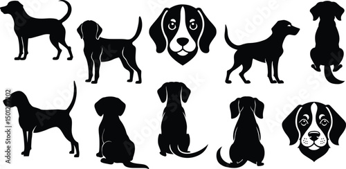 Vector (6000 x 3000 pixels)
