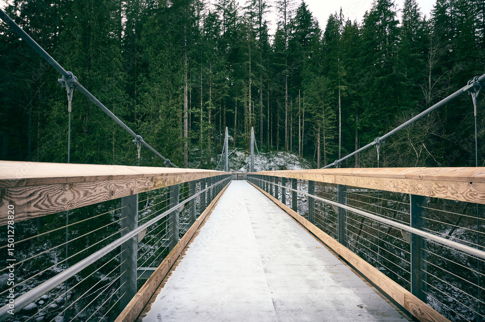 Obraz premium Scenic Pacific Northwest Coast rainforest. Seymour River Suspension Bridge in beautiful coniferous forest. Vancouver, British Columbia, Canada