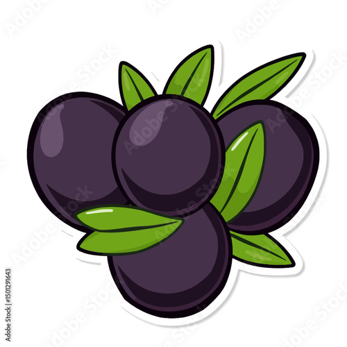 Fresh acai berries with green leaves illustration