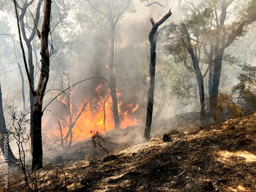 Climate change and the Australian black summer bushfires