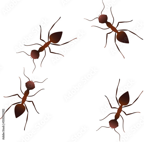 Harmless Ants Line Illustration Isolated on White Background.eps