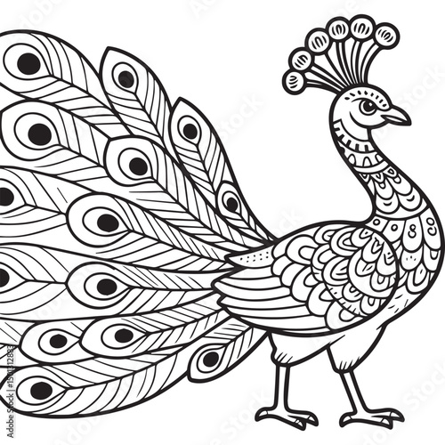Elegant form and vibrant plumage, set against a clean white background.