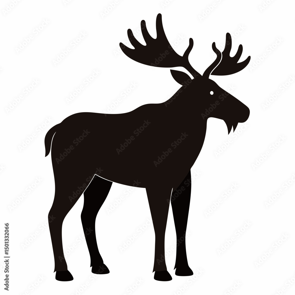 Obraz premium Moose with white background 