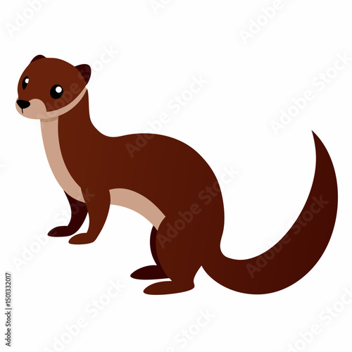 Weasel with white background
