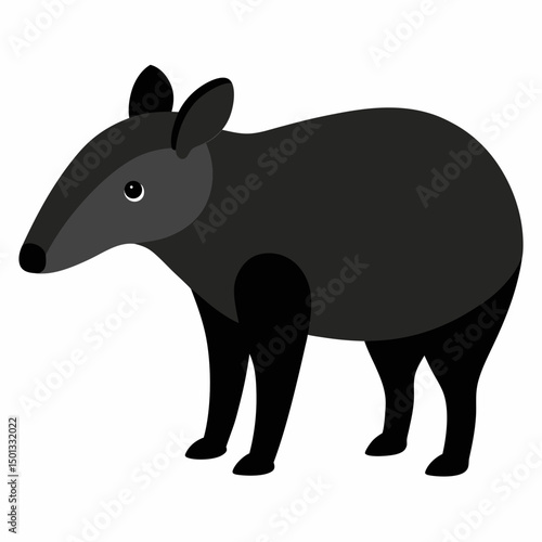 Tapir with white background
