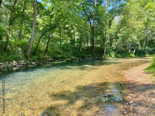 river in the forest At Montauk State Park