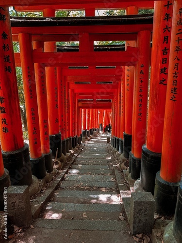 Vermilion torii gates in Kyoto, Japan