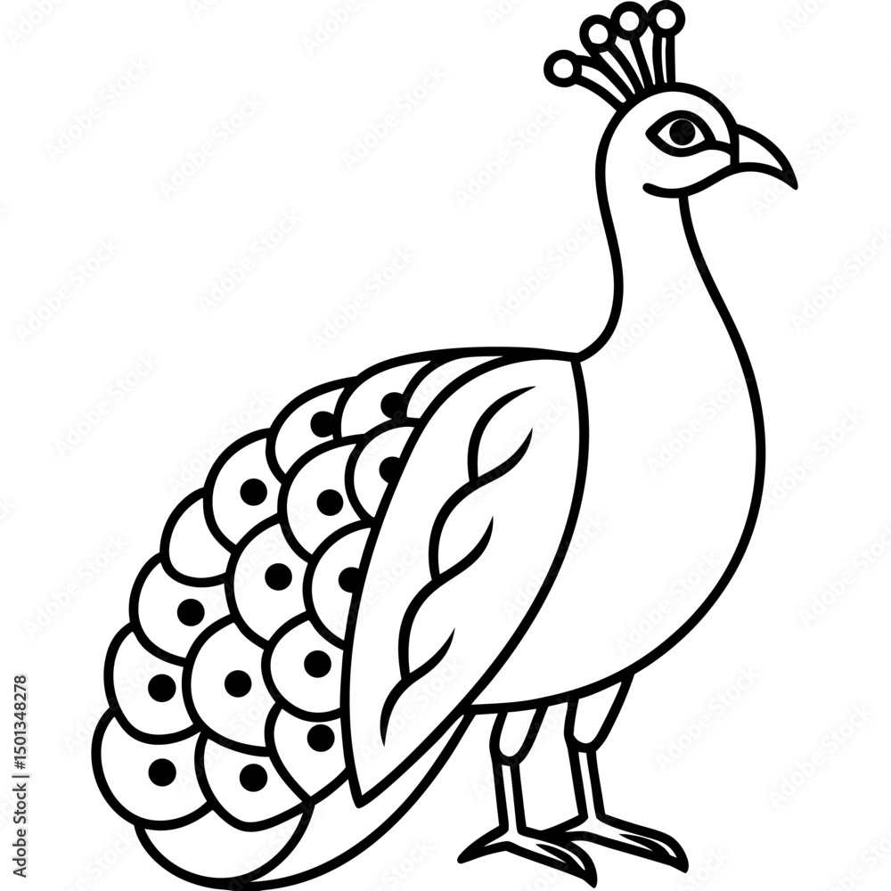 peacock peacock