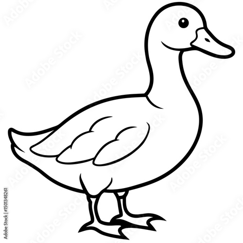 duck