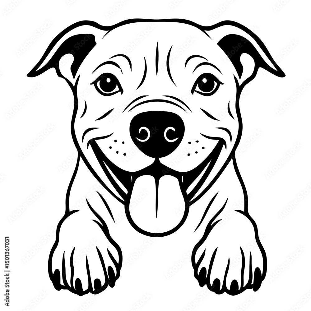 Pitbull Peek a Boo Pitbull Peek a Boo