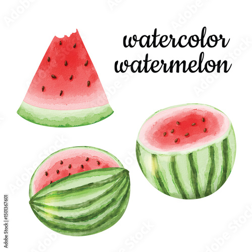 A set of watercolor clipart watermelon. Illustration clipart isolated on white background.