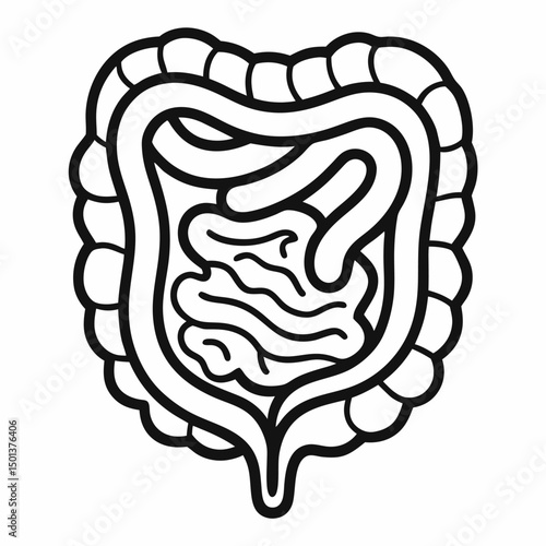 human intestine anatomy