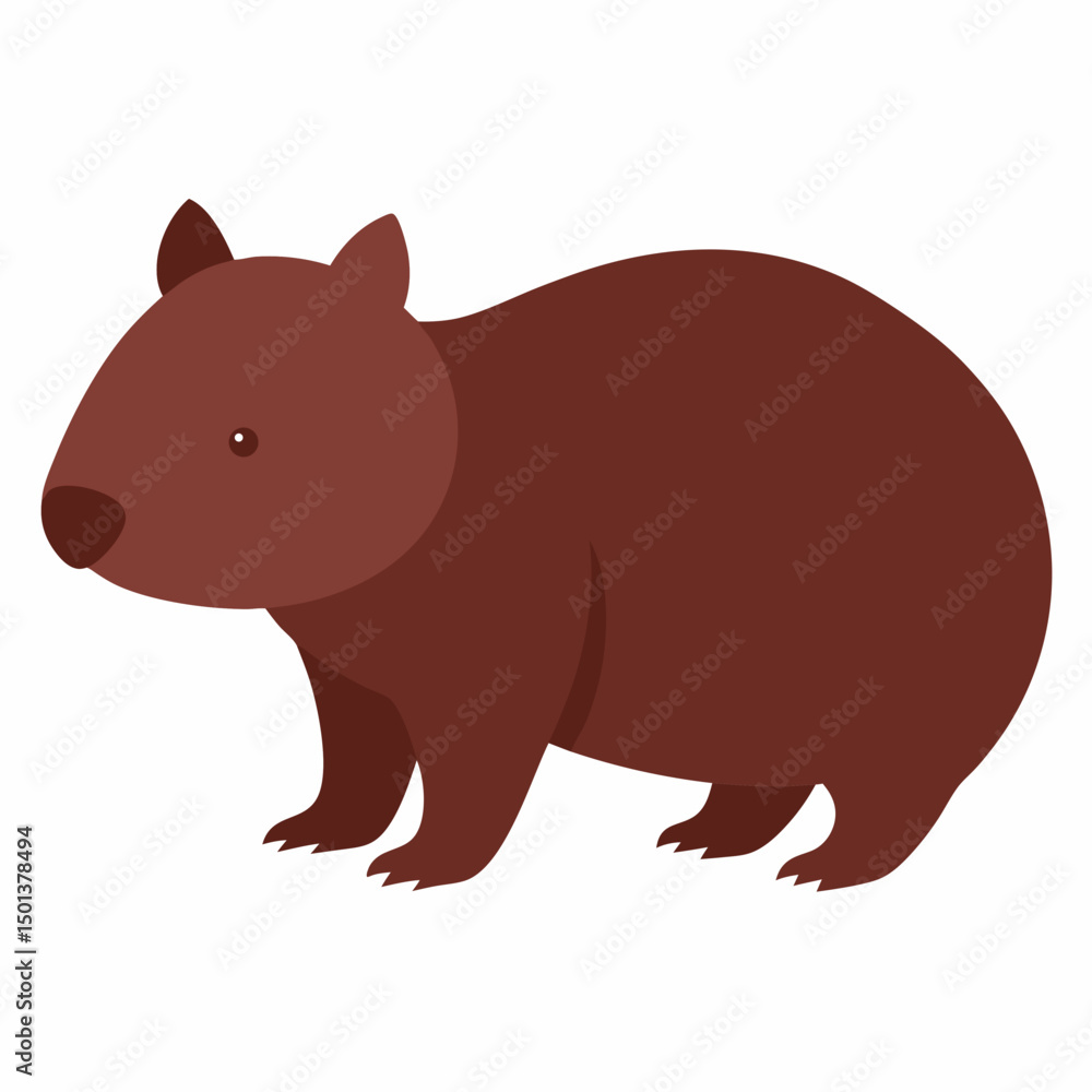Obraz premium Wombat with white background 