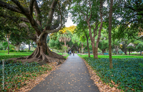 Scenic Pathway in Hyde Park Surrounded by Lush Greenery and Beautiful Trees, Perth, Australia, 12 April 2020