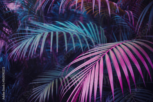 Vibrant tropical palm fronds with neon fuchsia and magenta glow against deep teal and purple leaves in a moody setting

