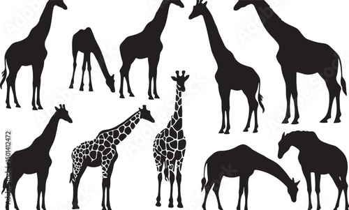 Silhouette Vector of Hand-Drawn Giraffe Family: Exotic Wildlife Patterns for Graphic Design and Decorative Art