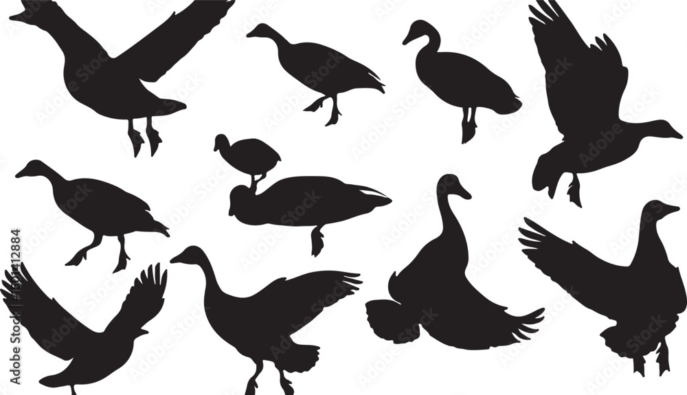 Fototapeta premium Bird Silhouettes: Artistic Avian Designs and Minimalist Wildlife Vector Illustrations in Black and White