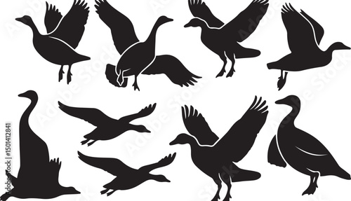 Bird Silhouettes in Flight: Capturing Wildlife and Avian Freedom in Black and White Vector Art Illustrations for Ornithology and Poetic Beauty Enthusiasts