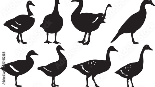 Artistic Geese and Animal Shapes: Black and White Minimalist Bird Silhouettes in Nature Illustration Graphic Artísticas