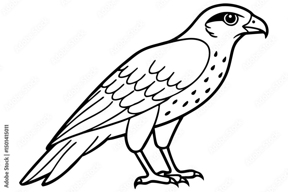 Fototapeta premium Falcon line art outline clean vector